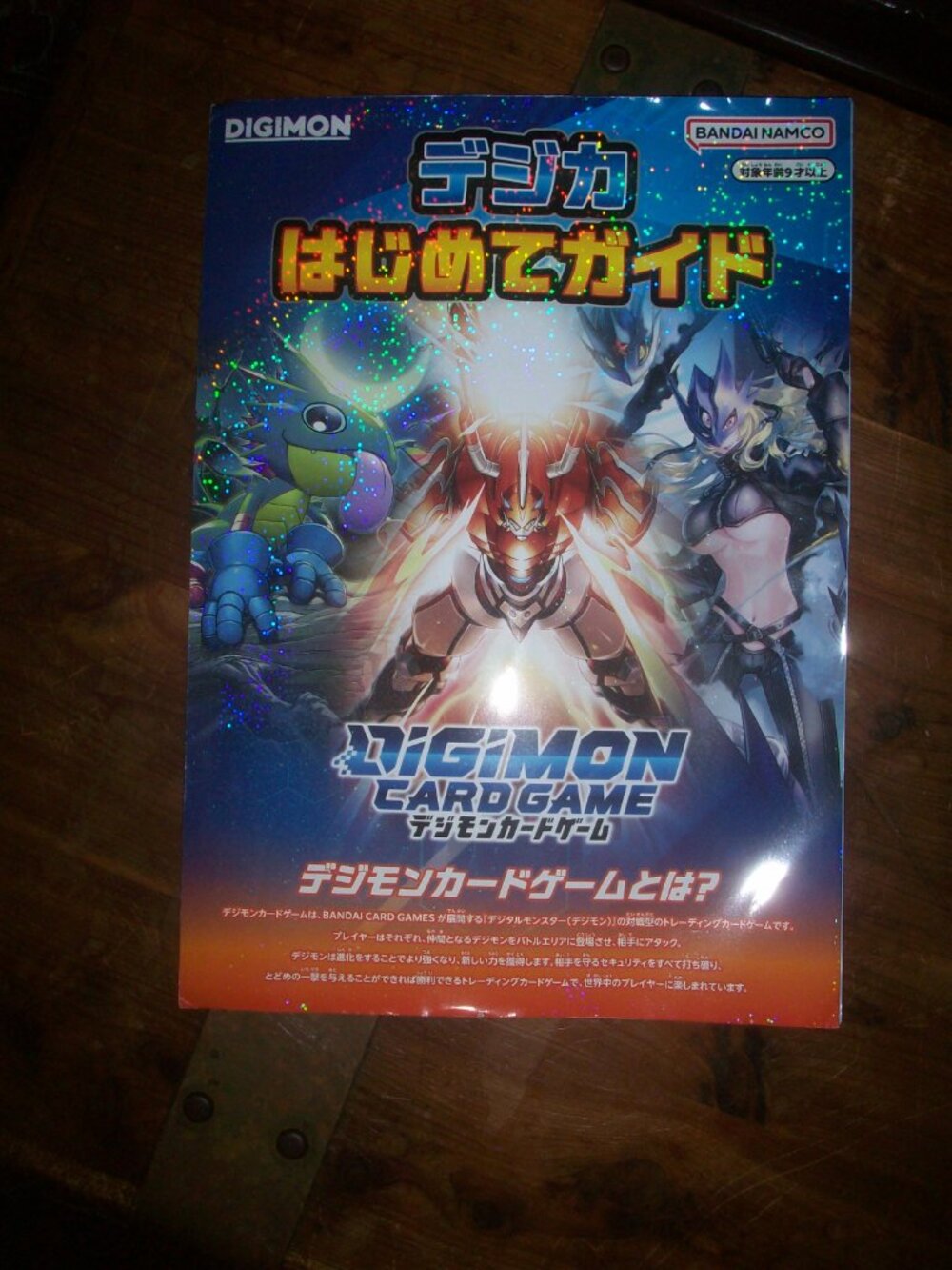 Bandai Namco Digimon Card Game Advertising Guide pamphlet Artwork Japan Ephemera